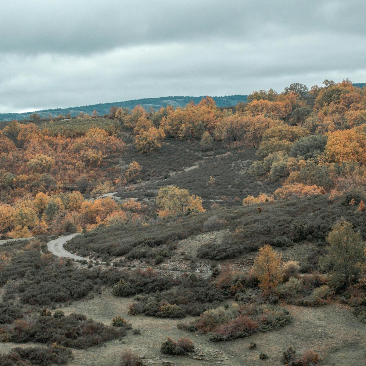 Sierra Norte